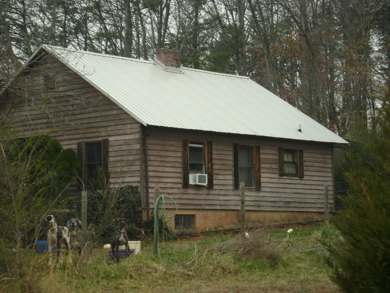 White metal roof on an old wood sided farmhouse, from a Asphalt Shingle Roof Repair job in Dane
